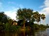 Selous Impala Camp - Landscape 